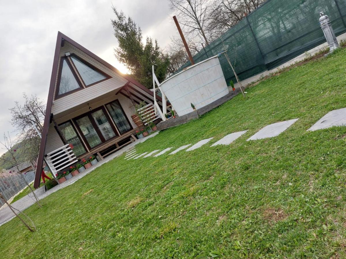 Cabana La Bica Magureni Buitenkant foto
